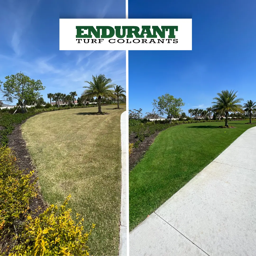 Césped antes y después de Endurant